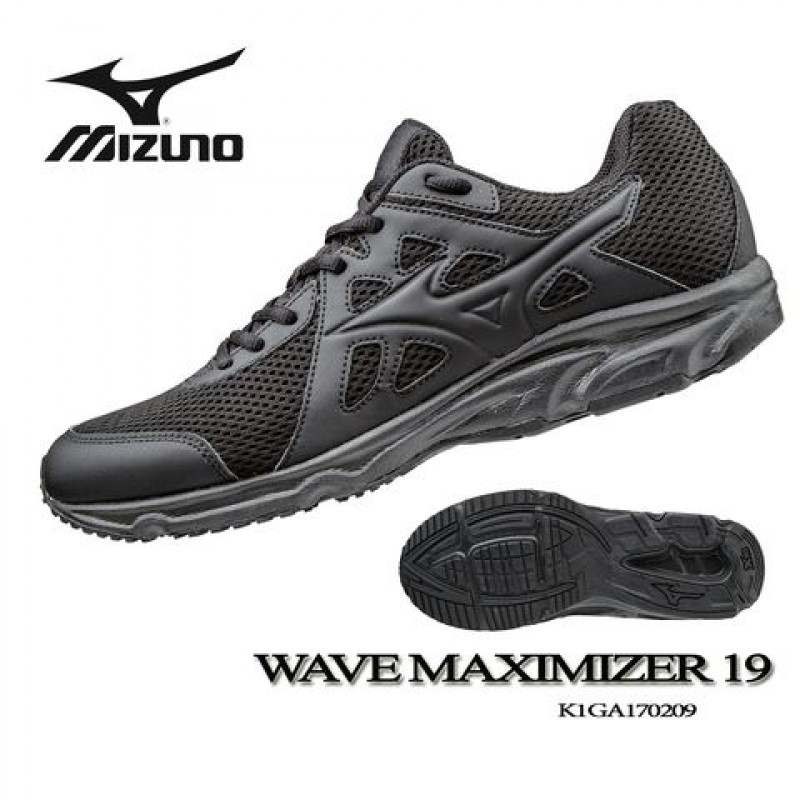 maximizer 19