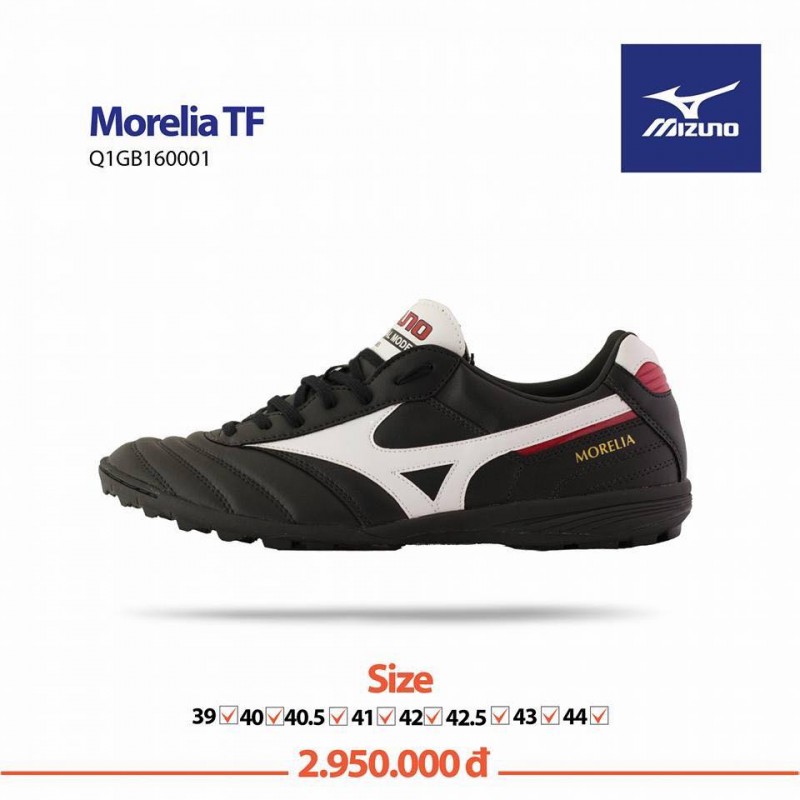 morelia tf