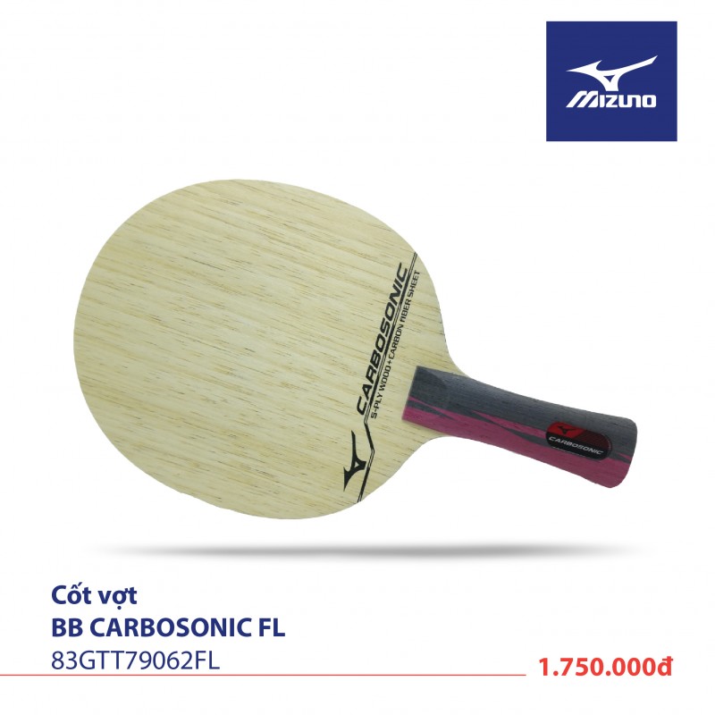 mizuno carbosonic 79